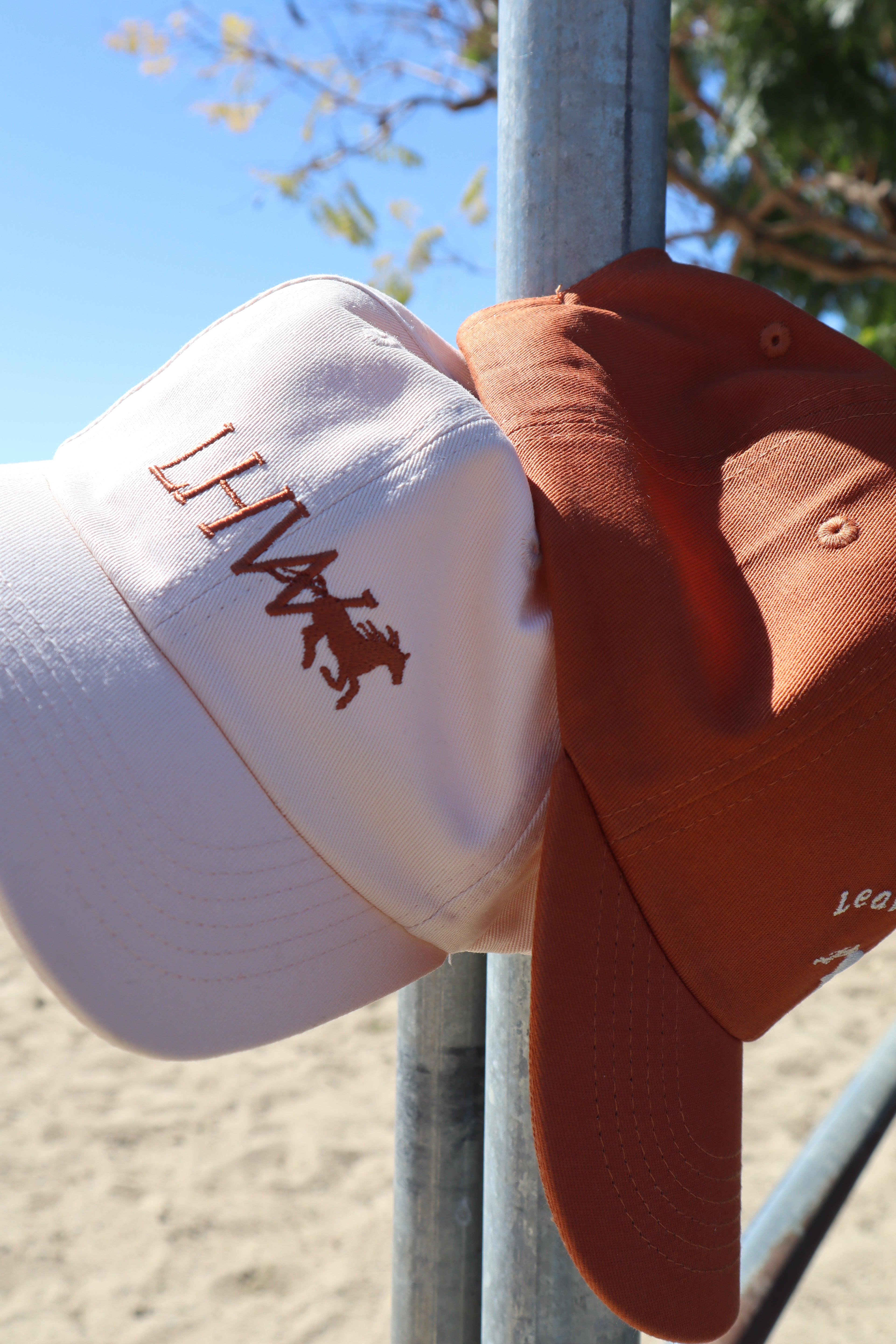 LHW Logo Dad Hat